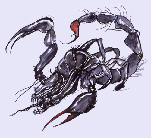 Dragon Scorpion