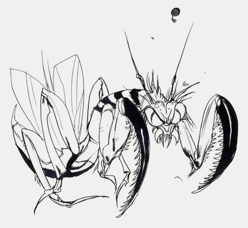 2-killer_mantis-a.jpg