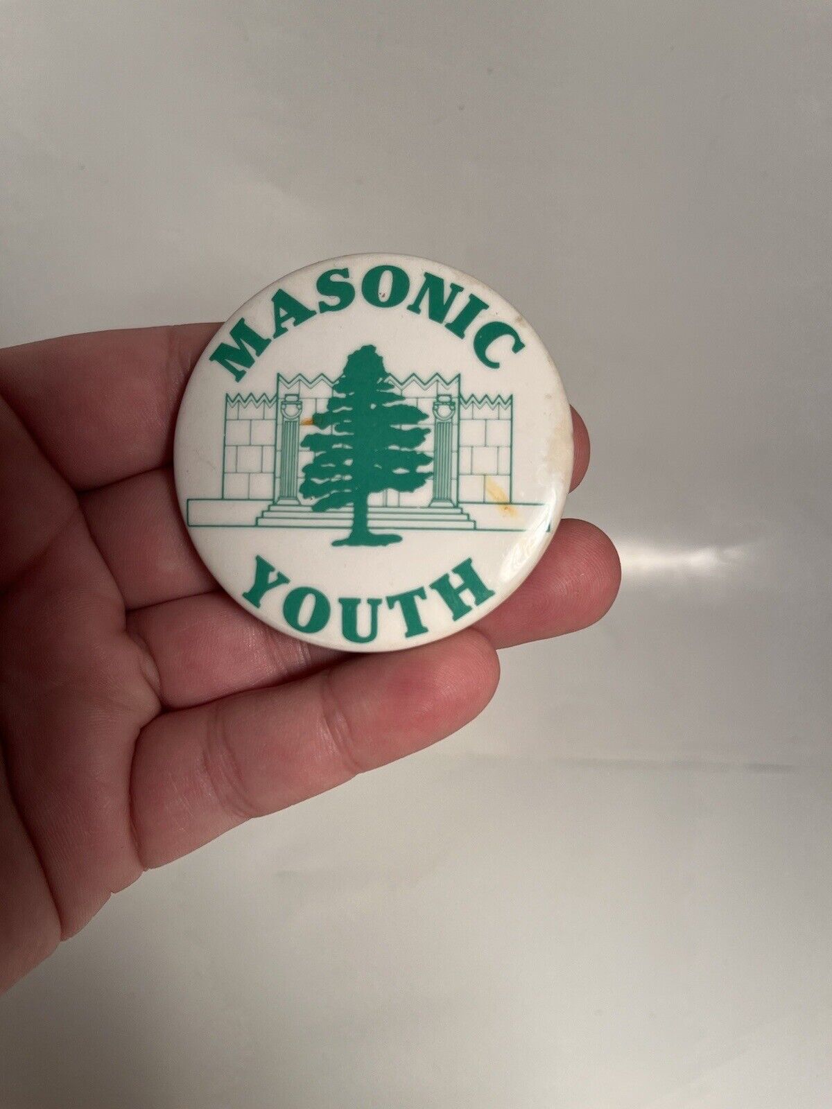 Vntg Masonic Youth Tall Cedars Lebanon Button Pin Temple Solomon’s Gate RARE HTF