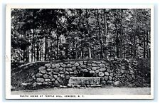 Rustic Scene at Temple Hill Geneseo NY Postcard John Balding C5  picture