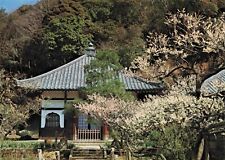 Kamakura Japanese Postcard - Zuisenji Temple Cherry Blossoms Flowers Vtg #17 picture
