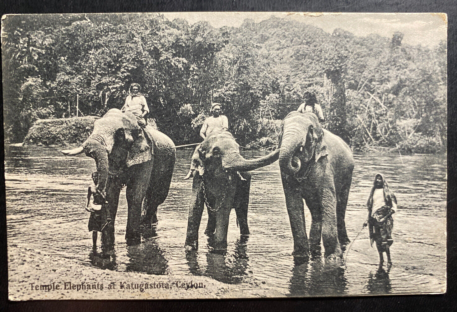 Mint Ceylon RPPC Real Picture Postcard Temple Elephants At Katugastota