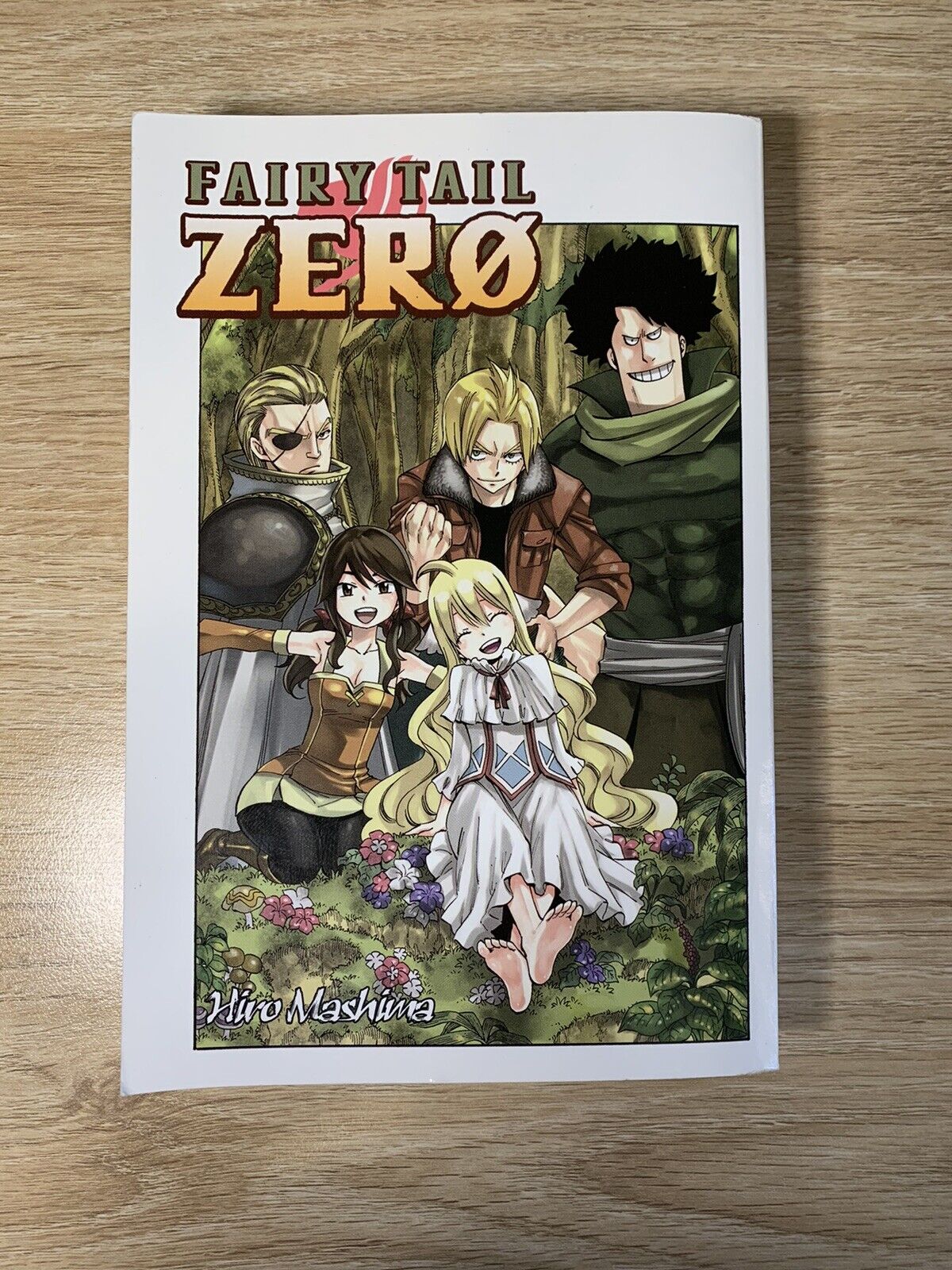 Fairy Tail Zero Manga Hiro Mashima English Language
